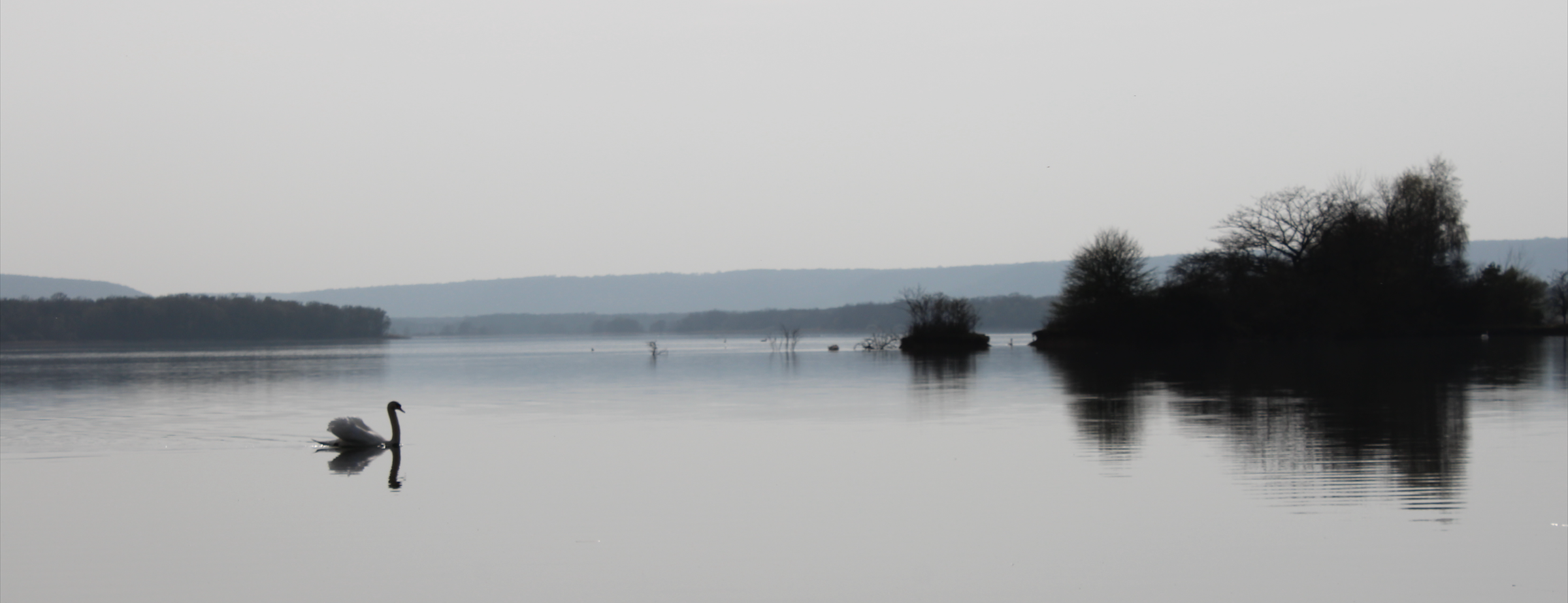 Lac de la Madine (55)