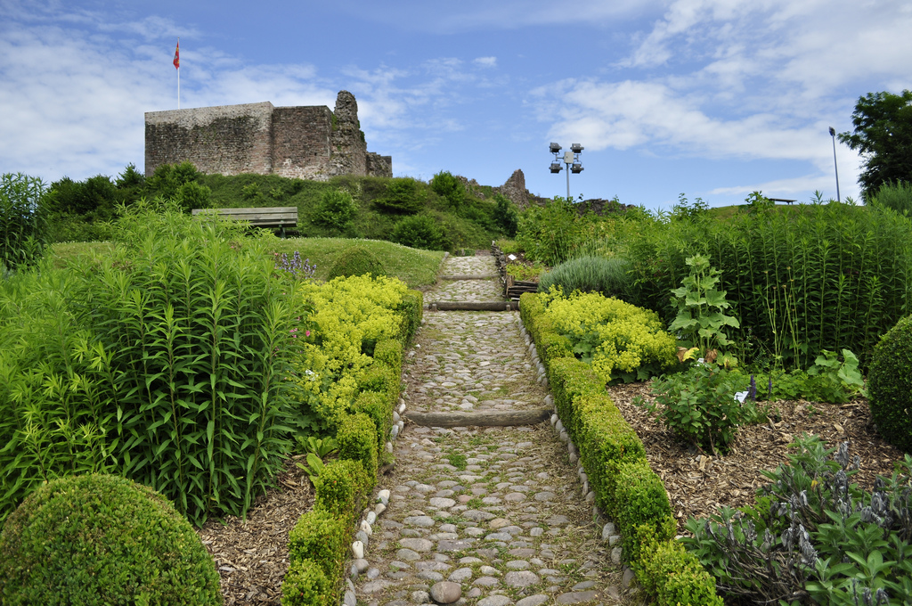 Epinal - Château Médieval (88)